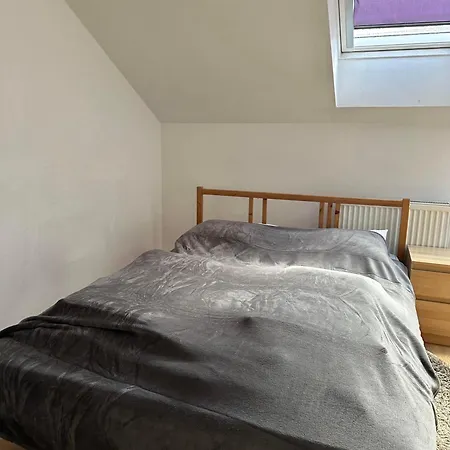 Xxx Apartment